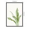 Cast Iron Plant II by and Slyp Errico Canvas Wall Art Print Framed